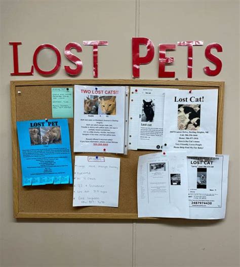dallas humane society|Lost Pets .
